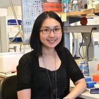 Dr. Wen-Hsuan Lin, MD, PhD